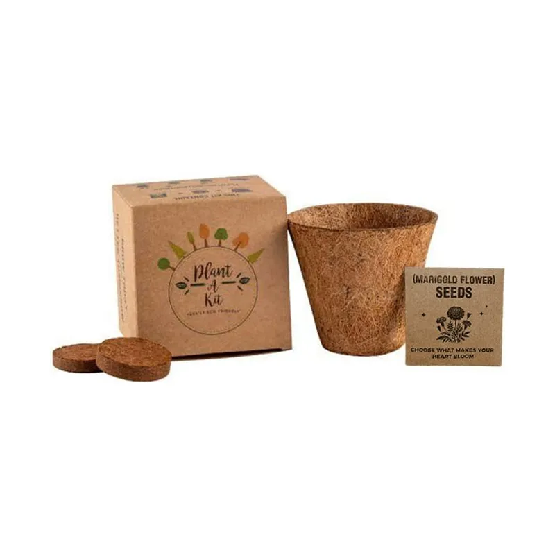 All in one plant grow kit