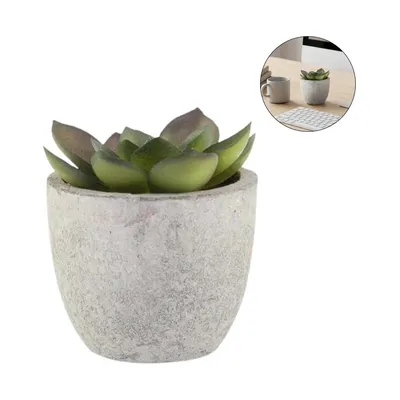 Artificial succulent in a pulp pot