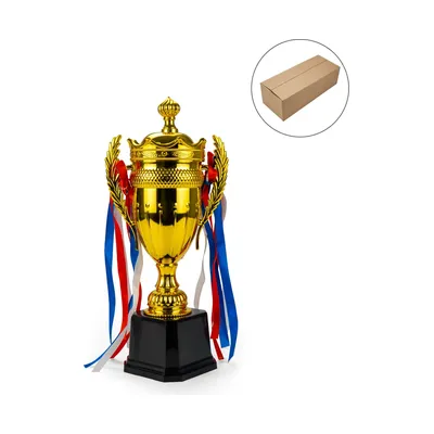 Small Cup Trophy with Removable Ribbon Attached to Both Handles