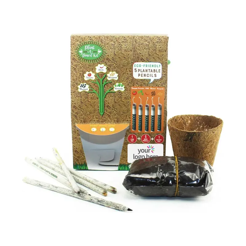 Plant A Pencil Kit
