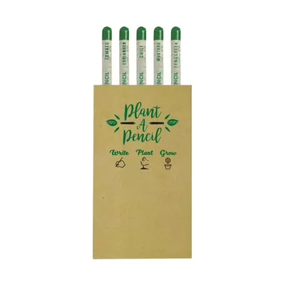 Plantable A Pencils Set Seeds Tomato Coriander Chili Mustard Fenugreek