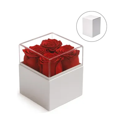 Forever Natural Flowers Gift Box White, Clear Acrylic Lid, 4Pcs Long Life Roses