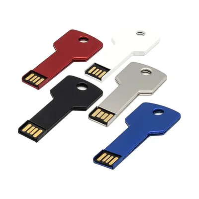 Key Shaped USB Flash Drives